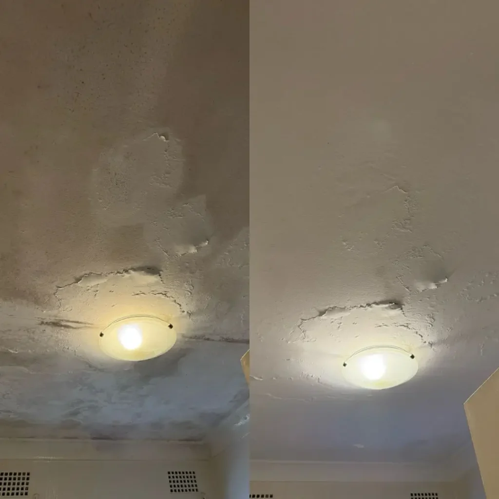 wall cleaning sydney 